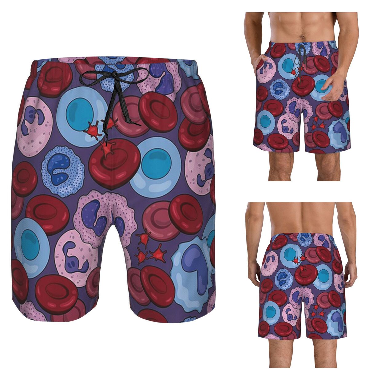 Hematology Blood Cells Medical - Medical Lab Board ulasan dan harga